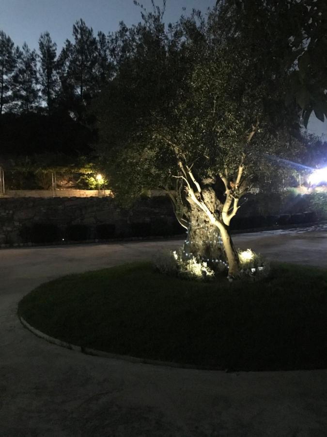 Agia Mavri House Villa Koilani Dış mekan fotoğraf